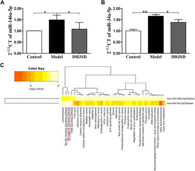 Confirmation of inhibitingTLR4/MyD88/NF-κB Signalling Pathway by Duhuo Jisheng Decoction on Osteoarthritis: A Network Pharmacology Approach-Integrated Experimental Study